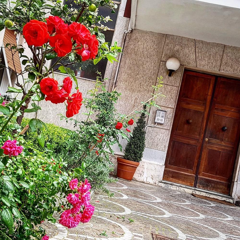 B&B Aurelia Garden Rooms Rom Eksteriør billede